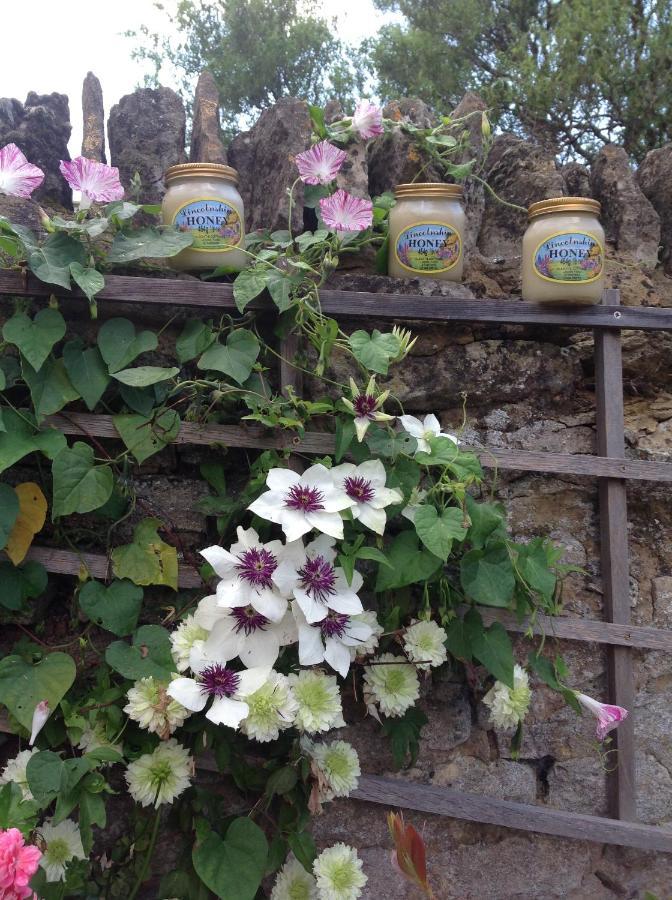 The Oak Lodge, Clematis Cottages, Stamford Ngoại thất bức ảnh